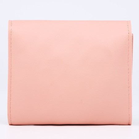 Bag Nazamok "Fox" with a valve-3
