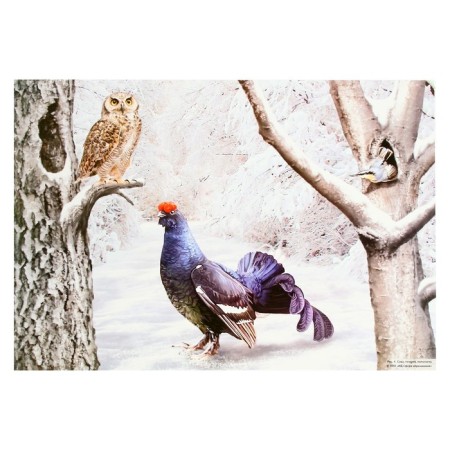 Demonstration paintings A3 "Wintering and migratory birds" Methodical material-5