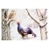 Demonstration paintings A3 "Wintering and migratory birds" Methodical material