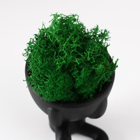 Kashpo concrete mini "Mr. Green" Mizaru with moss black 5.5x6.5x6.5 cm (moss green stabil)-4