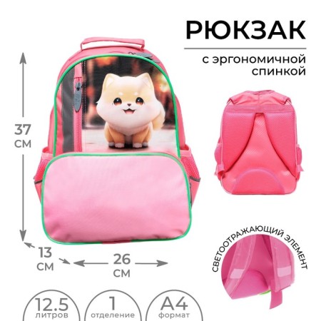 School backpack, 37 x 26 x 13 cm, ergonomic back, calligrata orth "Siba"