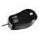Mouse Rlick 225m Black Optical (1200DPI) USB for a laptop (3but)