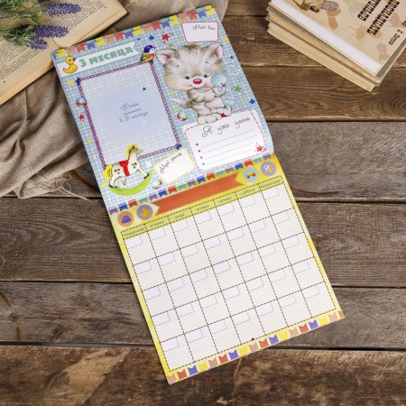 Photo album-calendar "Our baby: first year day after day", 12 sheets-4