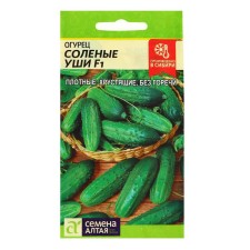 Cucumber seeds 