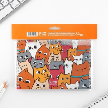 Set: a double notebook with tasks and the handle "Cats"-13