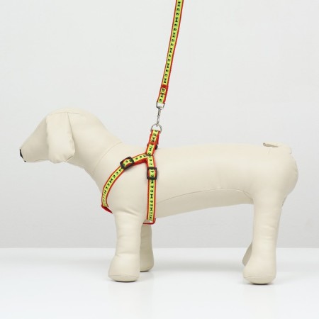 The “Bones and Paws” set of a reflective, leash 120 x 1.5 cm, OG 36-52 cm, red-8