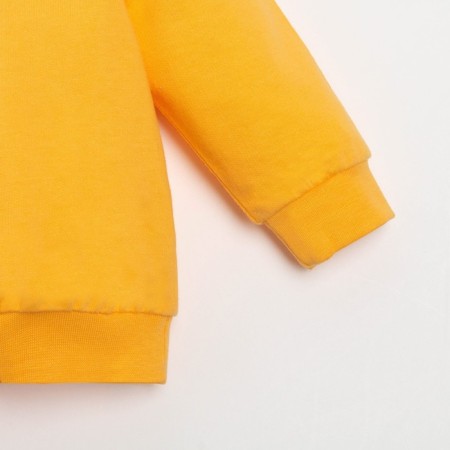 Set: jumper and pants crumb I "DOGS", height 68-74 cm, orange/white color-2