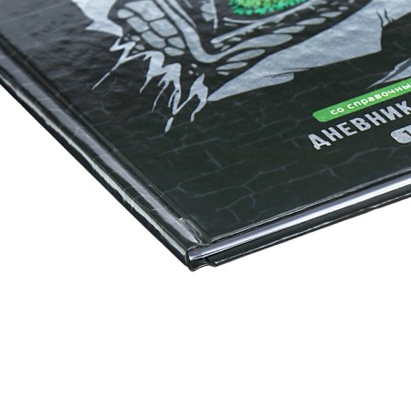 Diary for grades 1-4, 48 sheets of the "Dragon Eye", solid cover cardboard 7BC, glossy lamination, cheat sheet, 65 g/m2-2
