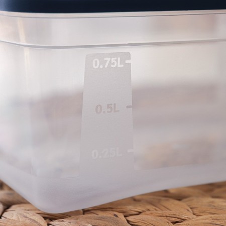 A set of rectangular containers for freezing Morozko products, 1 l, 3 pcs, color mix-3