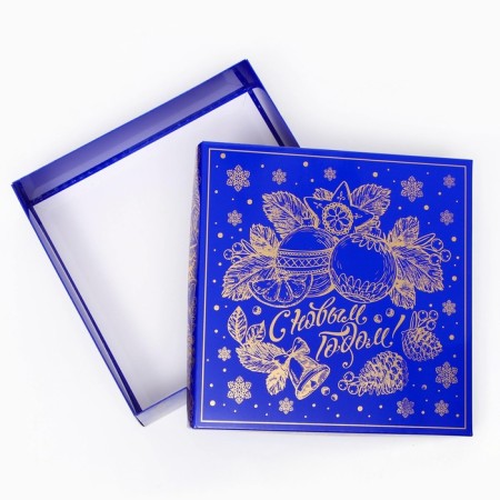 Pink box ’winter inspiration’ 22.3*22.3*6.3, blue-3