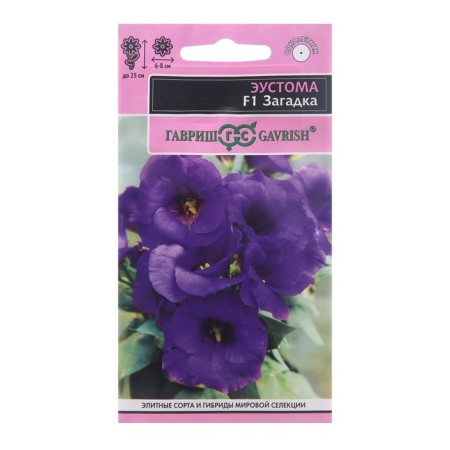 Eustoma flowers "Riddle", F1, 4 pcs