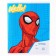 A notebook in a cage 18 sheets, 4 types of mix, cover coated paper, spider-man