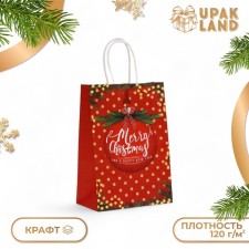 Package Gift craft 