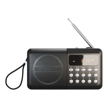 Radio receiver Soudmax SM-RD2127 (dark titanium)-1