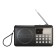 Radio receiver Soudmax SM-RD2127 (dark titanium)
