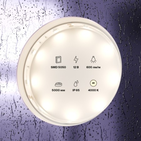 Maytoni LED tape, 12V, IP65, 5050, 7.2W/m, 4000k, 5 m, monochrome glow-2