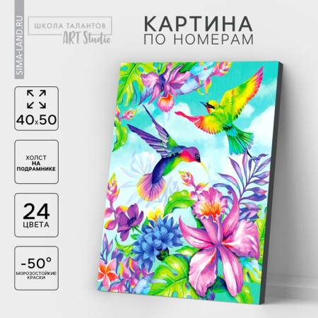 Picture on numbers on canvas with the subframe of the "Tropics", 40 x 50 cm