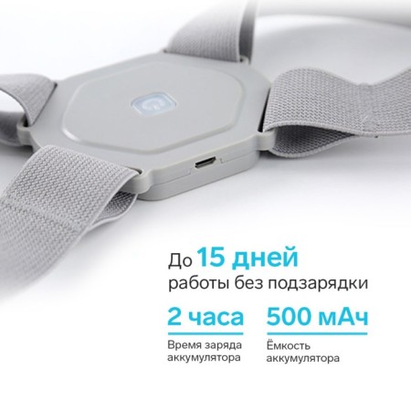 Luazon LEM-40, electric, myostimulator, from USB-2