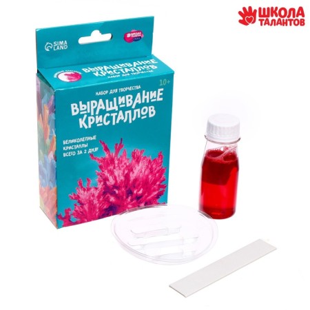 Set for creativity "radiant crystals", color raspberry-2