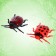 Set of insects "bugs, spaces", 12 pieces