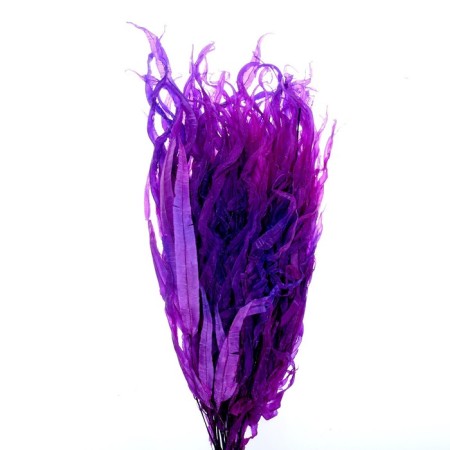Sukhotzet "Sitnik", purple, 15 pcs. packaged-1