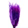 Sukhotzet "Sitnik", purple, 15 pcs. packaged