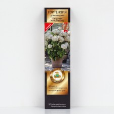Гортензия древовидная Люкс "Кандибел Маршмеллоу", 1 шт, туба, Весна 2025