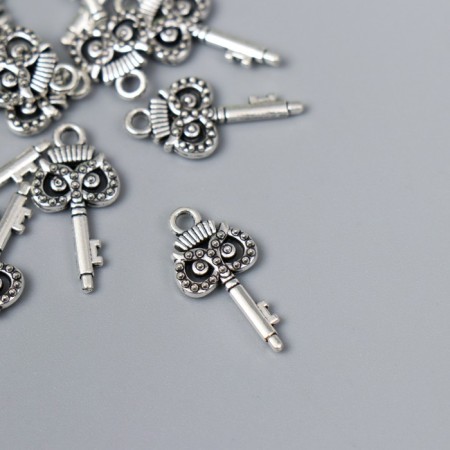 Decor for creativity Metal "Key Filin" silver 5400m008 2.1x1 cm