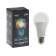 LED LED RGB+W, with a remote control, A60, 13 W, 1040 lm, E27, 220 B