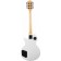 Terris TLP-039 WH Les Paul, HH, 2V2T, white color, white