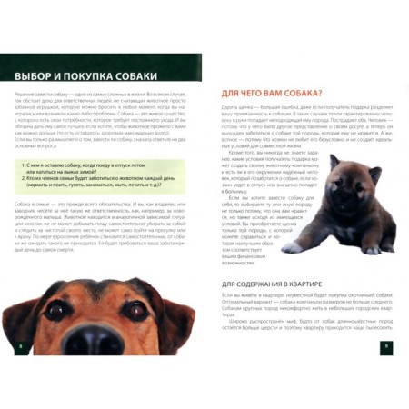 How to extend your dog’s life. Korets E. et al.-1
