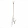 Suspension EVOLUCE. Sle115103-01. Tenato. 1x60 W, E27, 28x28x68 cm, white color