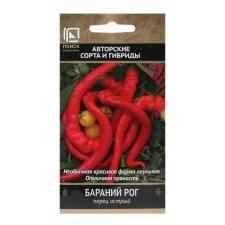 Sharp pepper 