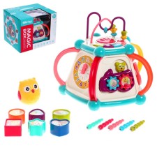Developing toy 
