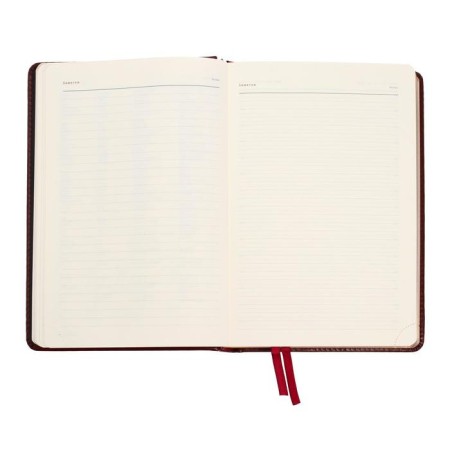 Diary Leduced A5+, 176 Parliament sheets, solid artificial leather cover, green-13