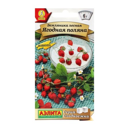 Forestial strawberries "Berry glade", c/p, 0.04 g