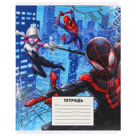 Notebook in a cage 24 sheets, 5 types of mix, embossing, cover coated cardboard, spider man-8