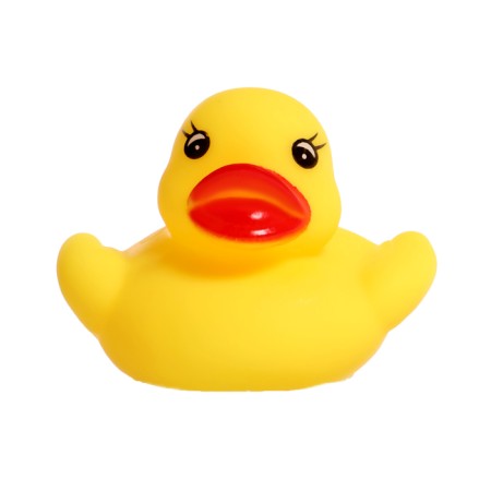 A set of toys for the bath "Catch a duck", 5 objects, color mix-7