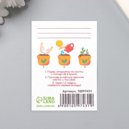 Postcard with the seeds "grow itself" "love in the new year" 5*7cm-2