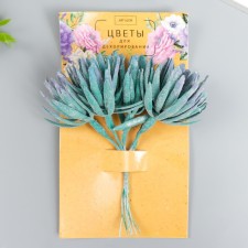 Decor for creativity 