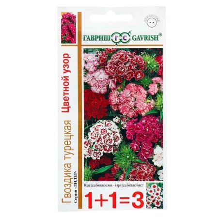 Flowers of the Carnation "Color Pattering", 0.8 g-2