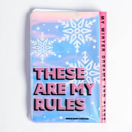 Gift set: a holographic notebook and cover My Winter Plans-7