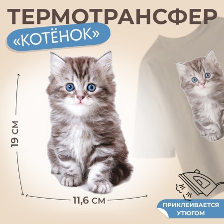 Thermalrotransfer "Kitten", 11.6 × 19 cm