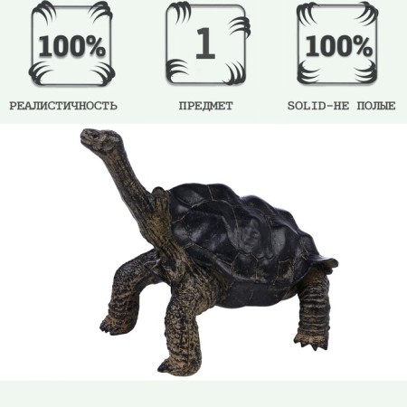 Figure "World of Wild Animals: Star Turtle"-1