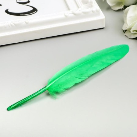 Decorative straight feathers, 10-15 cm (set 24 pcs) 6 colors, bright, assorted-2