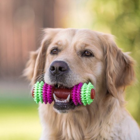 Chewing toy 15.5 x 5.5 cm, pink/green/red-3