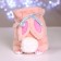 Bag-bag children's plush "Bunny", pink color, 20x18x9 cm