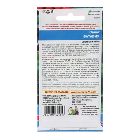 Batavia salad seeds, 0.25 g-1