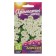 Alissum flowers "Snow Carpet", this. Alt, c/p, 0.1 g
