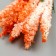 Decor for creativity "Ivan Tea" 1 bouquet = 10 flowers orange 1.5x14 cm